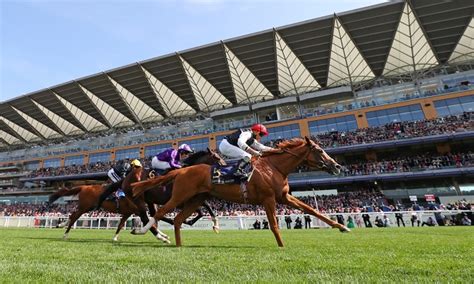 timeform|timeform free.